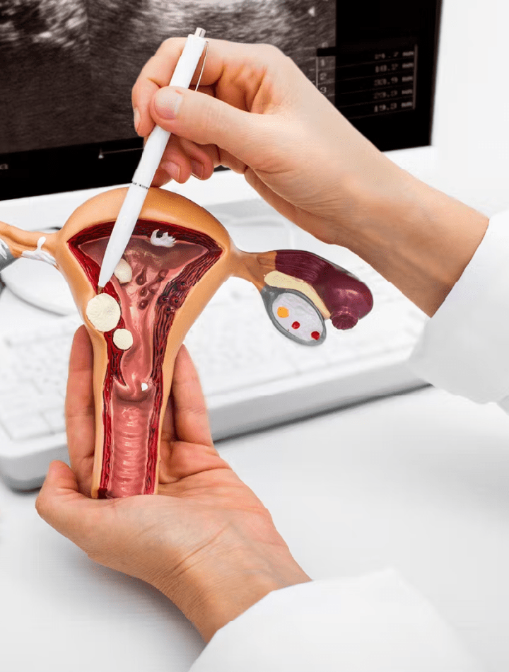 Gynocology Specialist